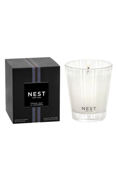 Nest New York Cedar Leaf & Lavender Candle In Transparent