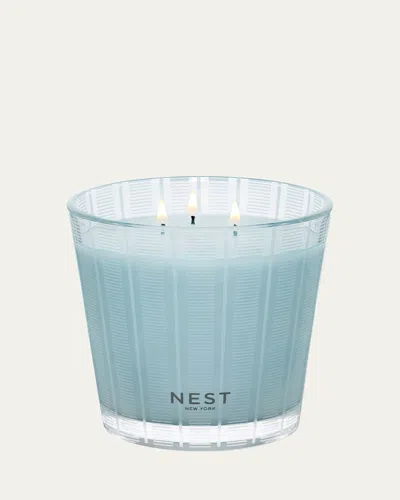 Nest New York Driftwood & Chamomile 3-wick Candle, 21.2 Oz.