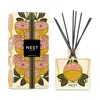 Nest New York Grapefruit Decorative Reed Diffuser In Multi