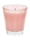 Nest New York Himalayan Salt & Rosewater Classic Candle In N,a