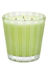 Nest New York Lime Zest & Matcha 4-wick Luxury Candle In No Color