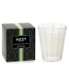 Nest New York Nest Fragrances Santorini Olive & Citron Classic Candle 8.1 Oz.