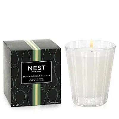 Nest New York Nest Fragrances Santorini Olive & Citron Classic Candle 8.1 Oz.