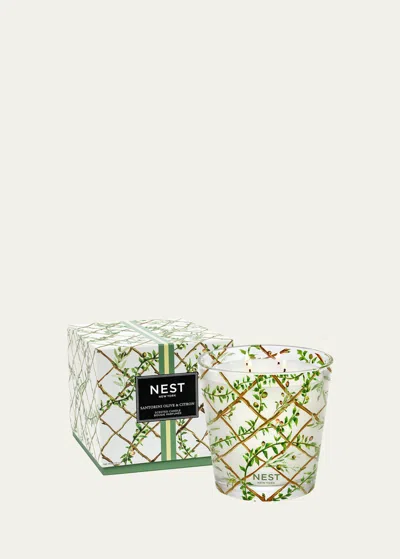 Nest New York Santorini Olive & Citron Luxury 4-wick Specialty Candle, 1.34 Kg In Multi