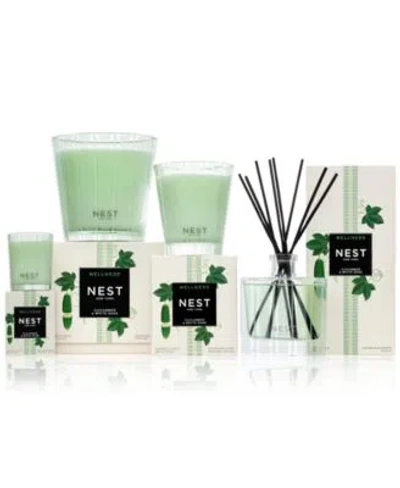 Nest New York Wellness Cucumber White Sage Collection In Green