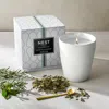 Nest New York White Tea & Rosemary Classic Candle In No Color