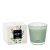 Nest New York Wild Mint & Eucalyptus 3 Wick Candle