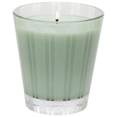 Nest New York Wild Mint & Eucalyptus Candle 8.1 oz/ 230 G