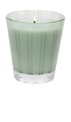 Nest New York Wild Mint & Eucalyptus Classic Candle In N,a