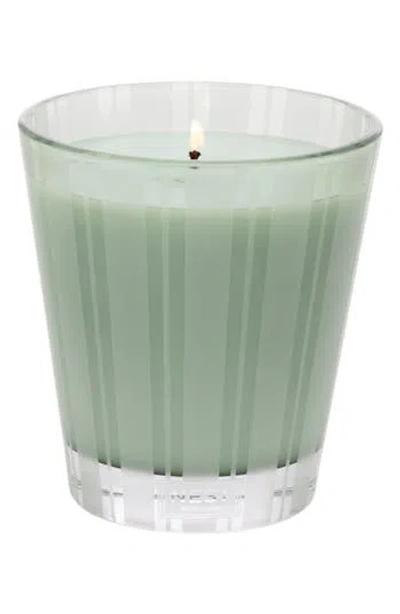 Nest New York Wild Mint & Eucalyptus Scented Classic Candle In No Color