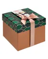 Neuhaus Holiday Assorted Chocolate Square Giftbox, 15 Pieces In Green