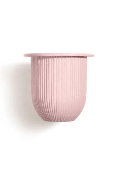 Neurae Neuraé Joie In Pink