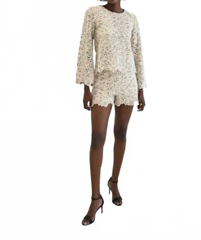 Never A Wallflower Amy Shorts In Grey Lace In Multi