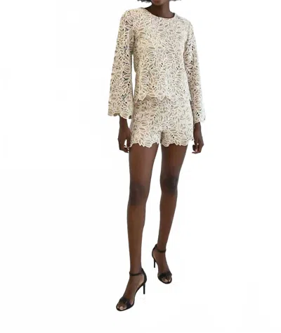 Never A Wallflower Camilla Top In Grey Lace In Multi