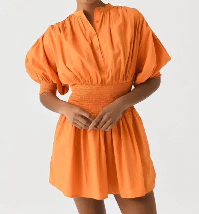 Never A Wallflower Cynthia Dress In Burnt Orange Poplin In Multi