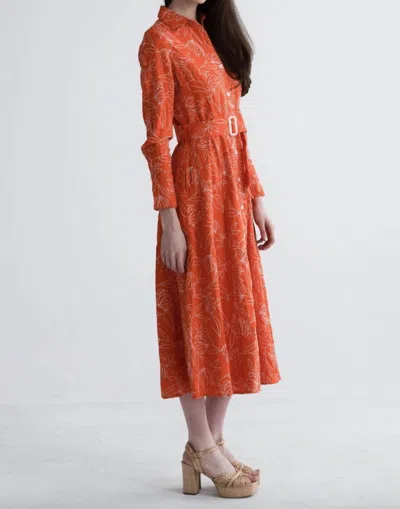 Never A Wallflower Princess Seam Long Sleeves Dress In Orange
