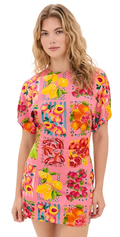 Never Fully Dressed Pink Fruit Stamps Mini Dress Pink