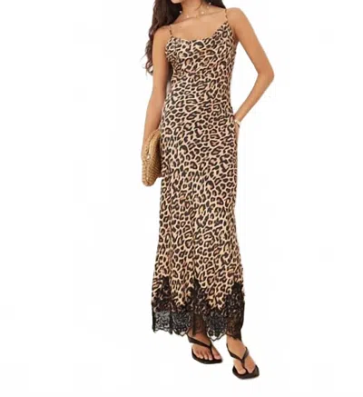 Never Fully Dressed Satin Cowl Neck Lace Trim Hem Maxi Dress In Leopard In Brown