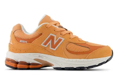 Pre-owned New Balance 2002r Sneakers In Copper/infield Clay/sea Salt In Multi