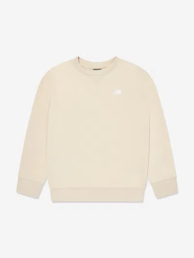 New Balance Kids'  Boys Brush Back Small Logo Sweatshirt In Neutral