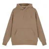New Balance Lunar New Year Hoodie 'khaki' In Brown