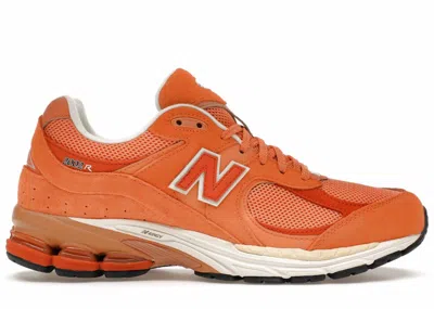 Pre-owned New Balance Men's  2002r Sneakers In Copper/infield Clay/sea Salt In Multi