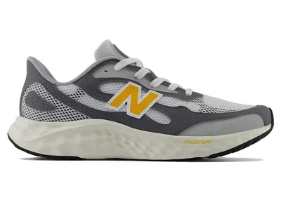Pre-owned New Balance Men's  Fresh Foam Arishi V4 Tiralux Sneakers In Reflection/castlerock/raincloud In Gray
