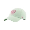 New Balance Unisex  Graphic By Debut 6 Panel Hat In Green
