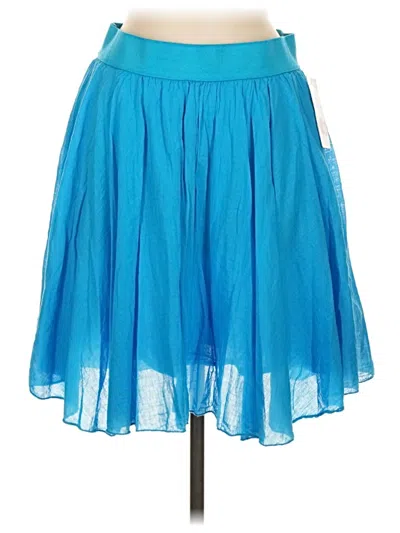Pre-owned New Collection Casual Skirt In Blue