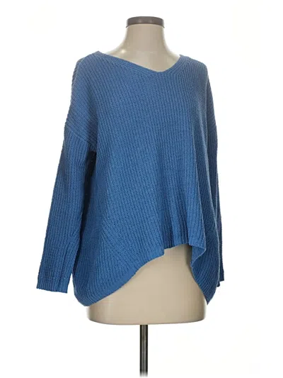 Pre-owned New Directions Pullover Sweater In Blue