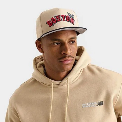 New Era Boston Red Sox Mlb Team Art 9fifty Snapback Hat In Neutral