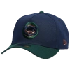 New Era Chicago Cubs  Cubs 9forty A-frame Cap