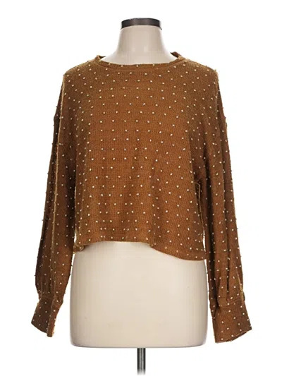 Pre-owned New In Pullover Sweater In Brown