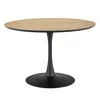 New Pacific Direct Anson 47" Round Dining Table