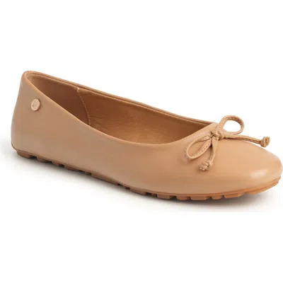 New York And Company Frankie Flat In Animal Print