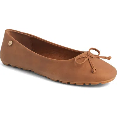 New York And Company Frankie Flat In Multi