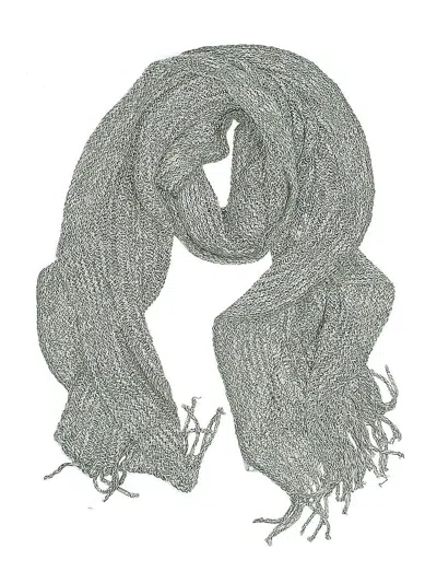 Pre-owned New York And Company Scarf In Gray