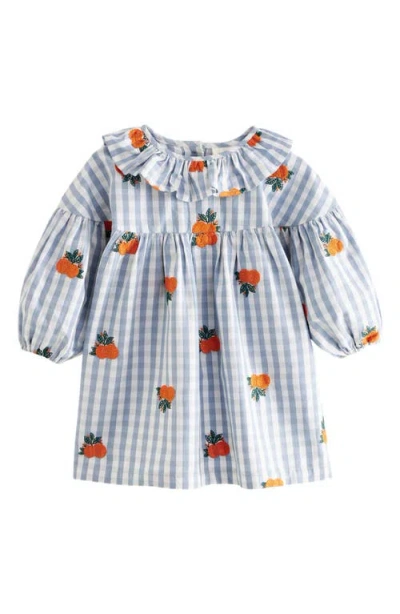 Next Kids' Embroidered Gingham Long Sleeve Dress In Blue