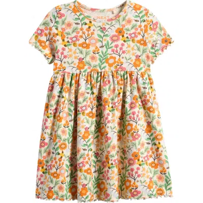 Next Babies'  Kids' Floral Print Rib Dress In Multi