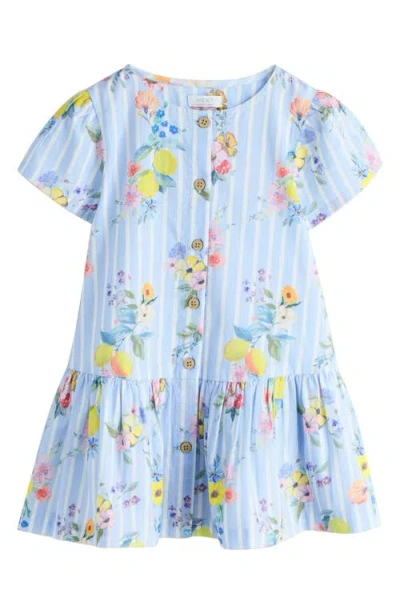 Next Babies'  Kids' Floral Stripe Cotton Button-up Dress In Blue