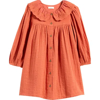 Next Babies'  Kids' Long Sleeve Cotton Button-up Dress In Brown