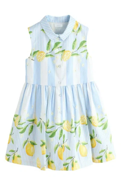 Next Kids'  Stripe Lemon Print Cotton Shirtdress In Blue