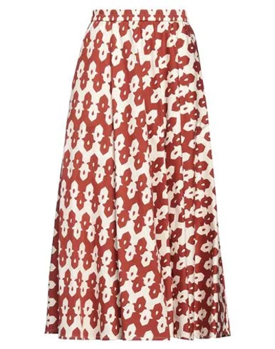 Niū Woman Midi Skirt Tan Size S Cotton, Elastane In Brown