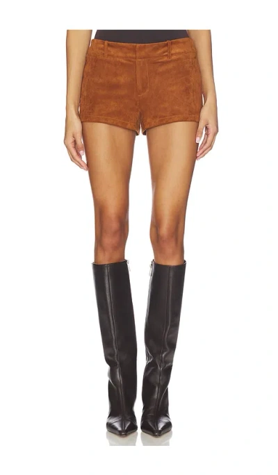 Nia Gower Short In Tan