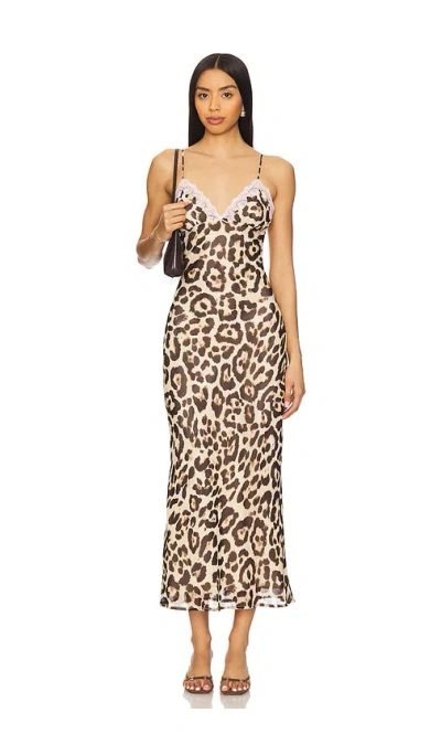 Nia Jasmine Dress