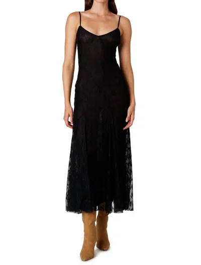 Nia Suki Lace Midi Dress In Black