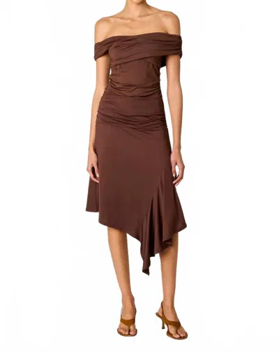 Nia Vine Asymmetrical Skirt In Chocolate In Multi