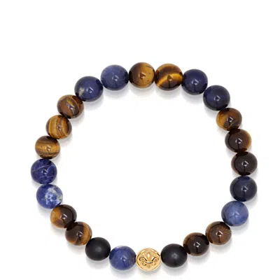 Nialaya Blue / Brown / Black Men's Wristband With Blue Dumortierite, Brown Tiger Eye And Gold In Multi
