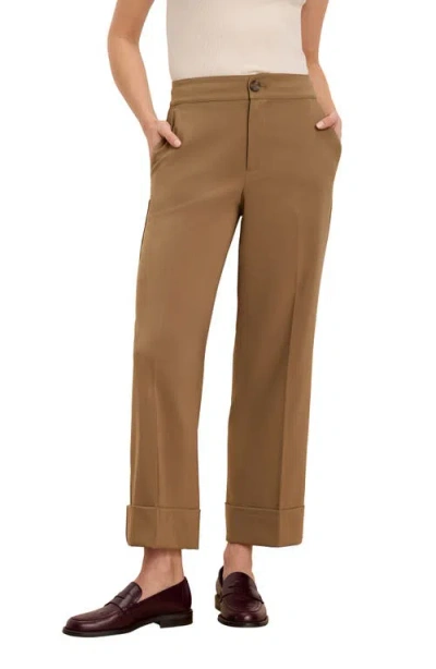 Nic + Zoe Nic+zoe Clarendon Stretch Ankle Pants In Brown
