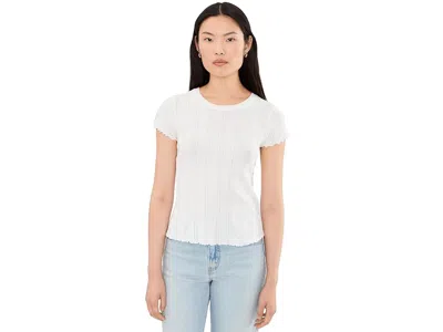 Nic + Zoe Pointelle Rib Georgia Tee Women's Clothing Paper White: Lg In Multi